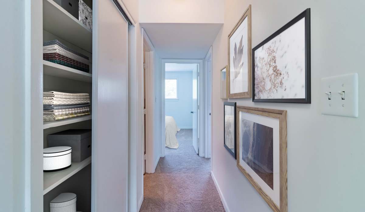 closet Country Club Apartments in Hampton, Virginia