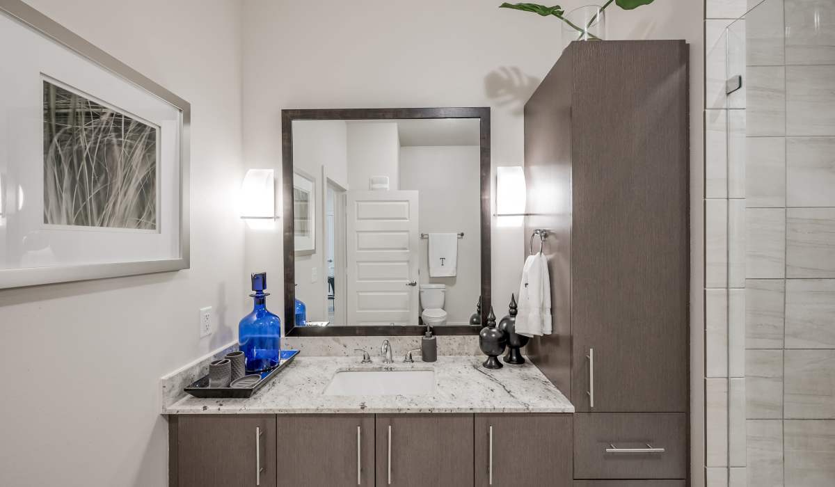Bathroom with lots of storage at Tate Tanglewood in Houston, Texas