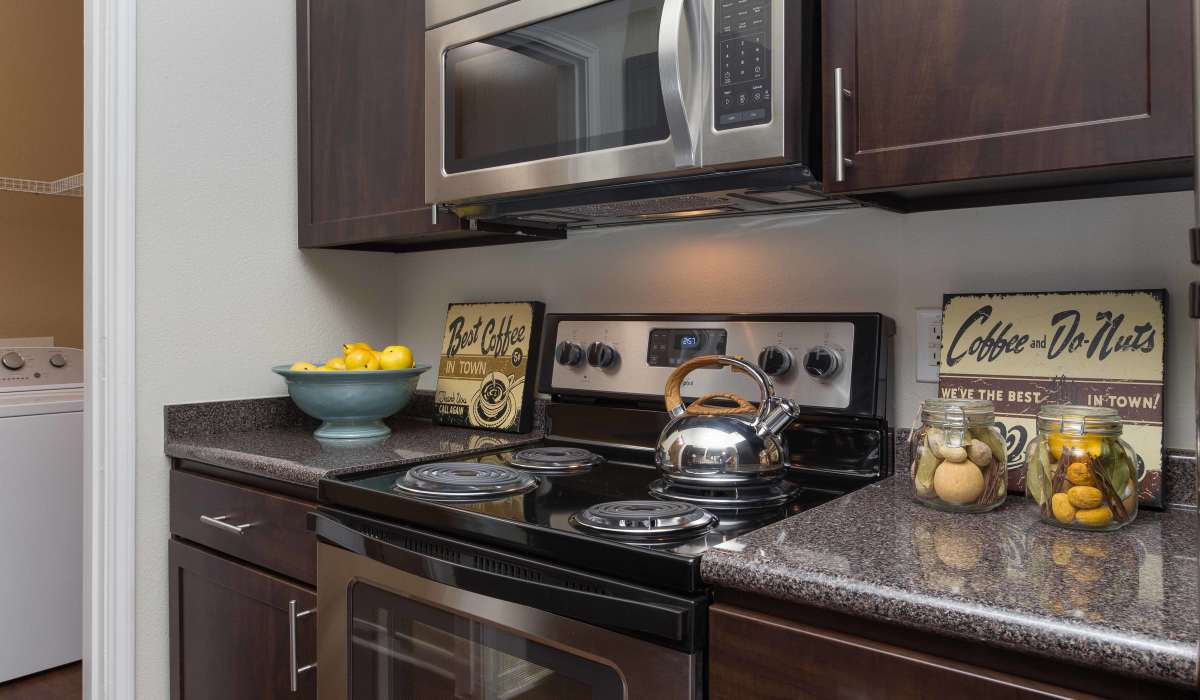 Stove and oven in the kitchen at Whispering Pines Ranch in The Woodlands, Texas