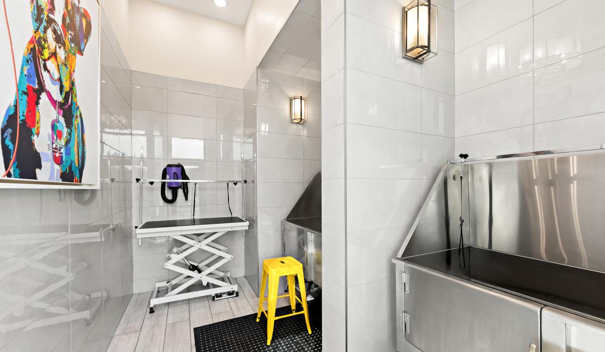 Dog washing station at Elevate at Topside in Louisville, Tennessee
