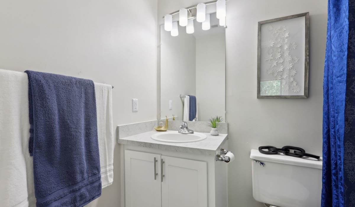 Bathroom at Reserve at Garden Lake in Riverdale, Georgia