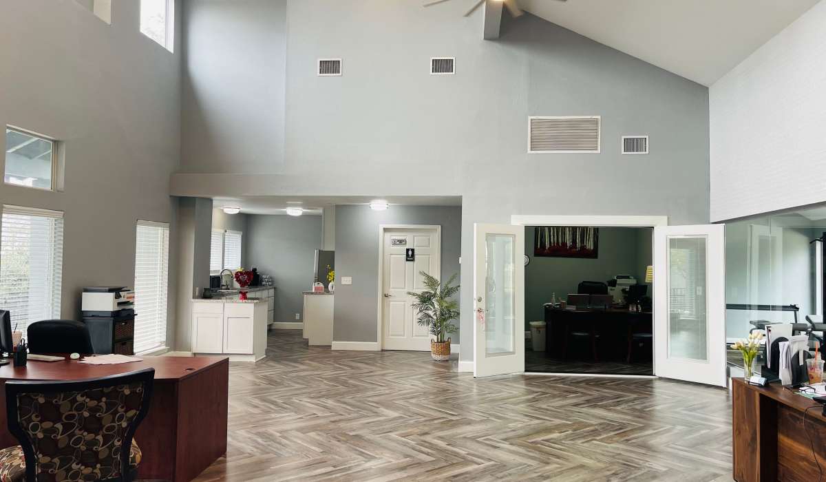 Swimming pool with lounge at Icon Apartments in San Antonio, Texas