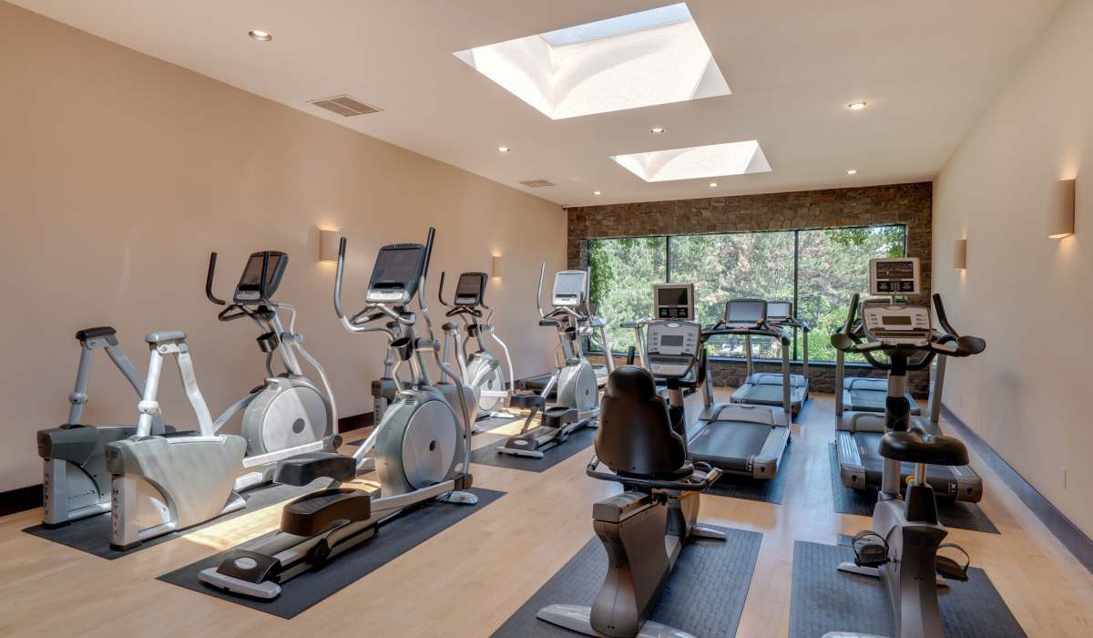 Modern gym fitness room with large windows and treadmills at Cedars of Edina in Edina, Minnesota