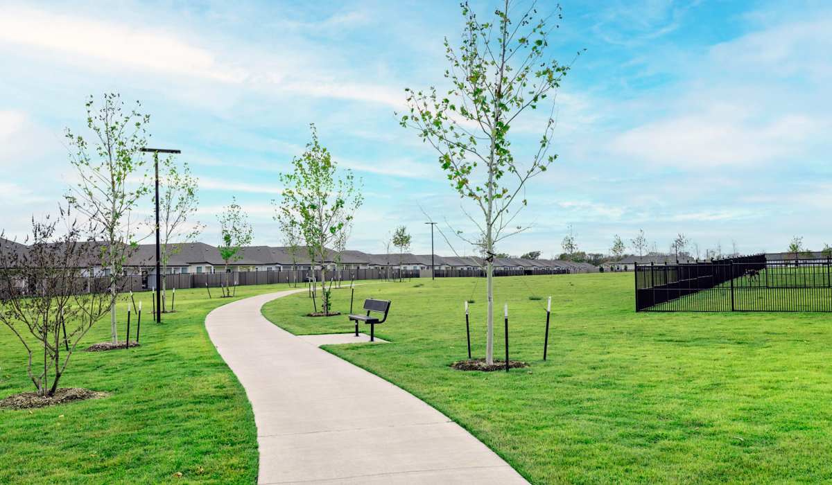 Walking path at The Luxe Of Prosper in Mckinney, Texas