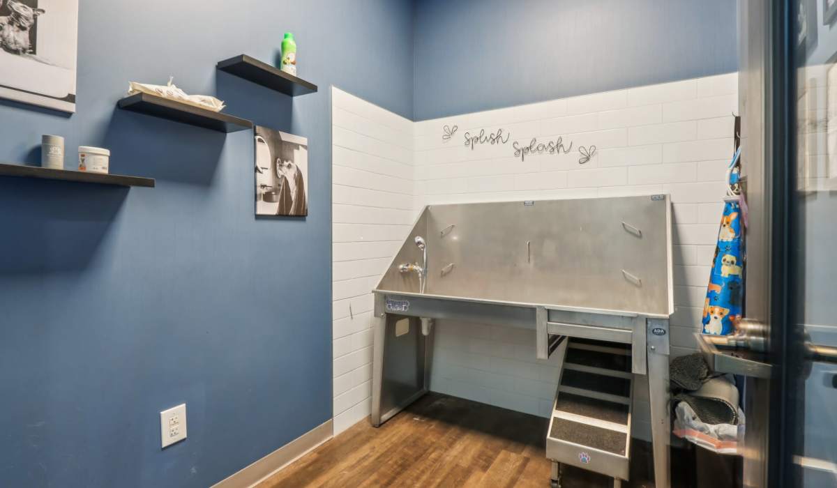 Pet grooming station at Founders Pointe Apartments in Franklin, Indiana