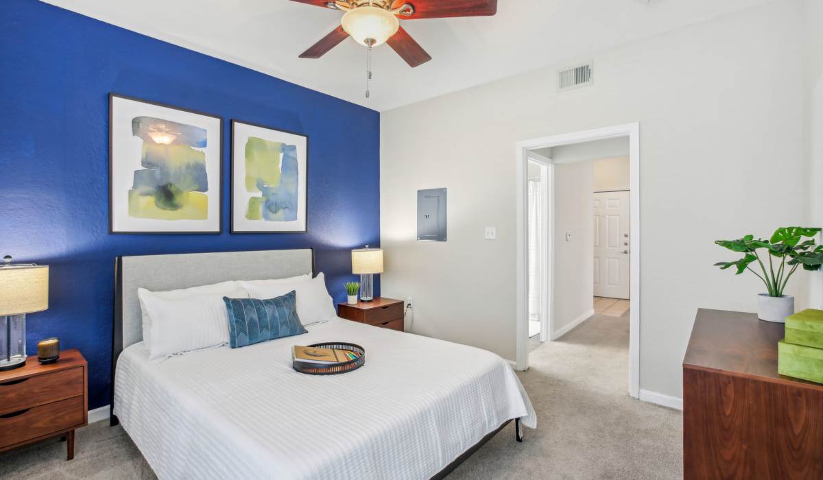Spacious bedroom with plush carpeting, ceiling fan, and lux walk-in closet and on-suite bathroom at Sole at Citrus Park apartments in Tampa, Florida