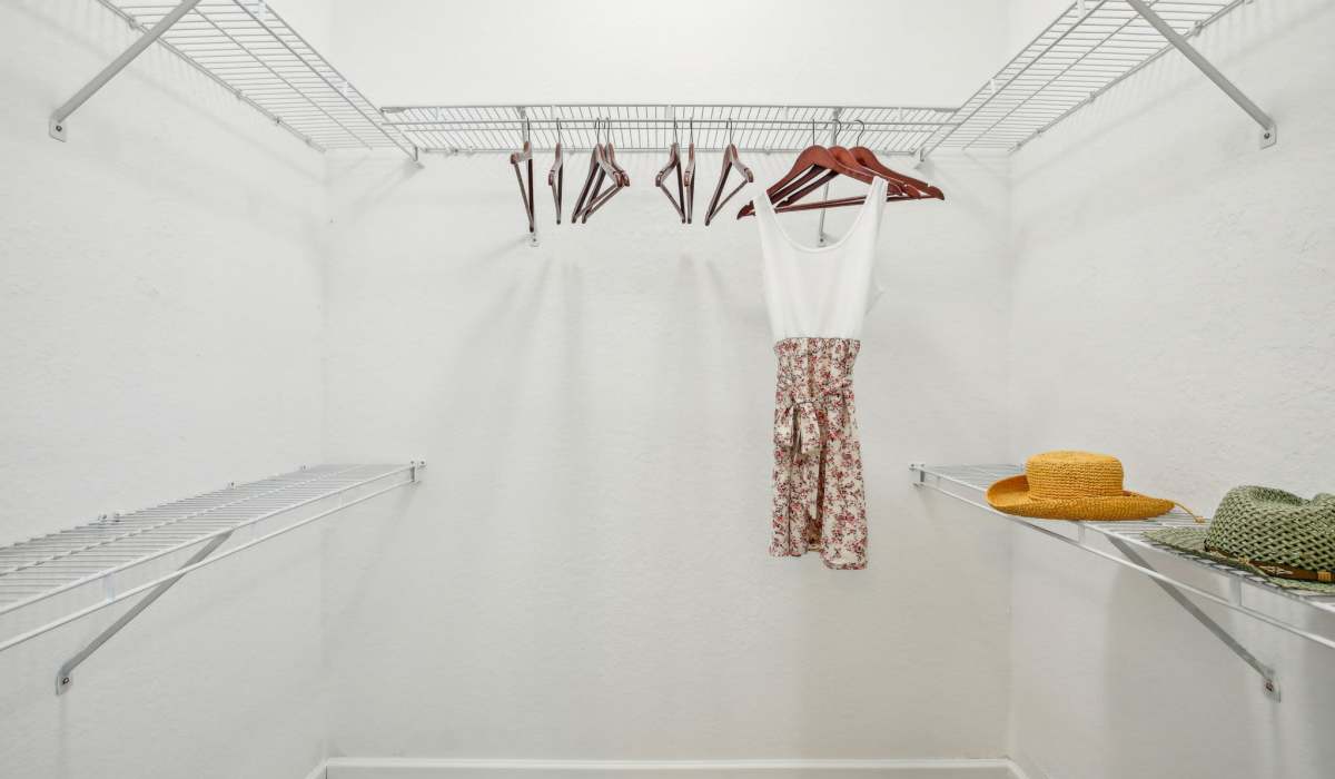 Luxurious walk-in closet with ample shelving at Sole at Citrus Park apartments in Tampa, Florida