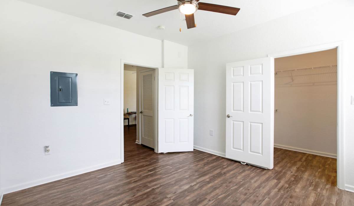 Spacious bedroom with wood-style flooring, ceiling fan, and lux walk-in closet at Sole at Citrus Park apartments in Tampa, Florida
