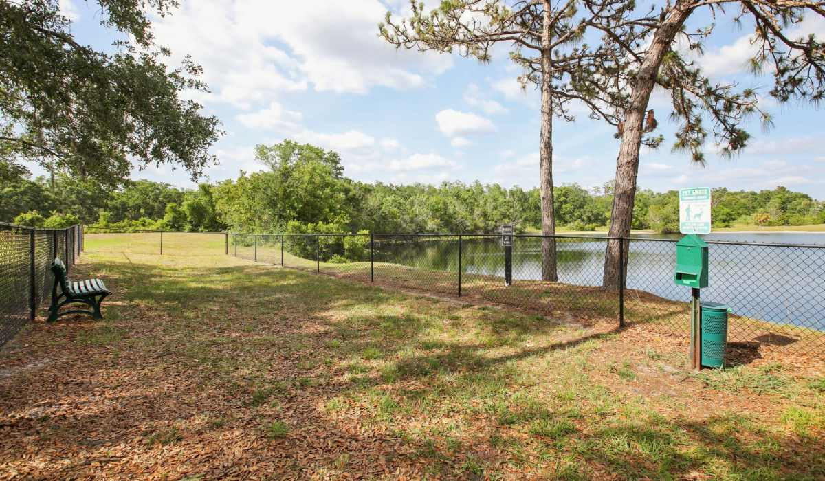 Spacious fenced-in dog park with a bench and poo-bag station at pet-friendly Sole at Citrus Park apartments in Tampa, Florida