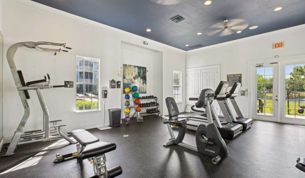 State of the art Fitness Center with cardio equipment, workout machines, and more to achieve your fitness goals at Sole at Citrus Park apartments in Tampa, Florida