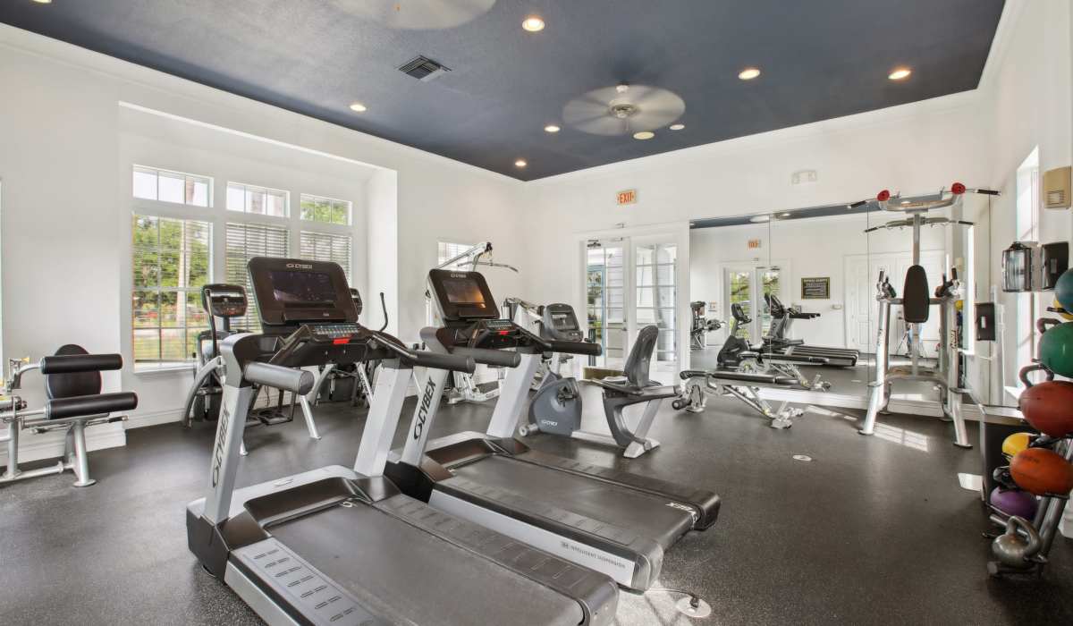 State of the art Fitness Center with cardio equipment, workout machines, and more to achieve your fitness goals at Sole at Citrus Park apartments in Tampa, Florida