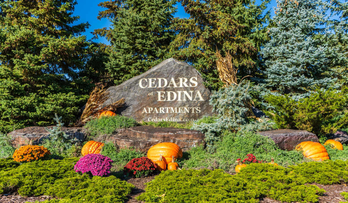 Pumpkins in the fall at Cedars of Edina in Edina, Minnesota