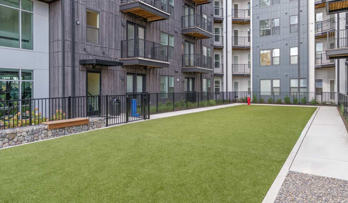 Dog park at The Guild in Richmond, Virginia