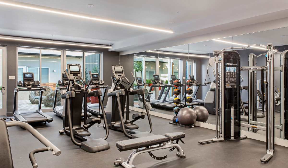 Oakland, CA, Pet-Friendly Apartments - Telegraph Arts - A Fitness Center With Cardio Machines, Strength Equipment, And Large Windows.