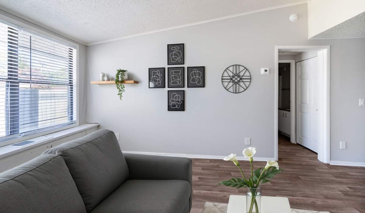 Living room with large windows at Canyon and Knox Landing Apartments in Knoxville, Tennessee