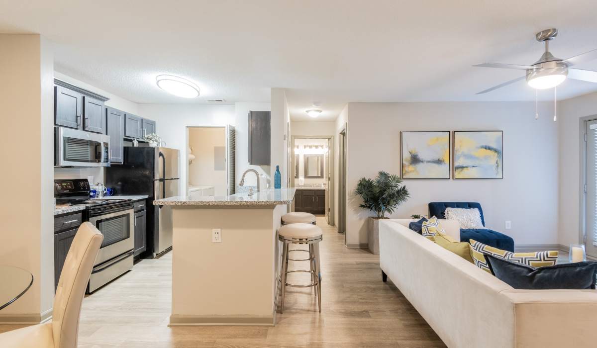 Cozy Apartment at Goldelm at The Views in Asheville, North Carolina