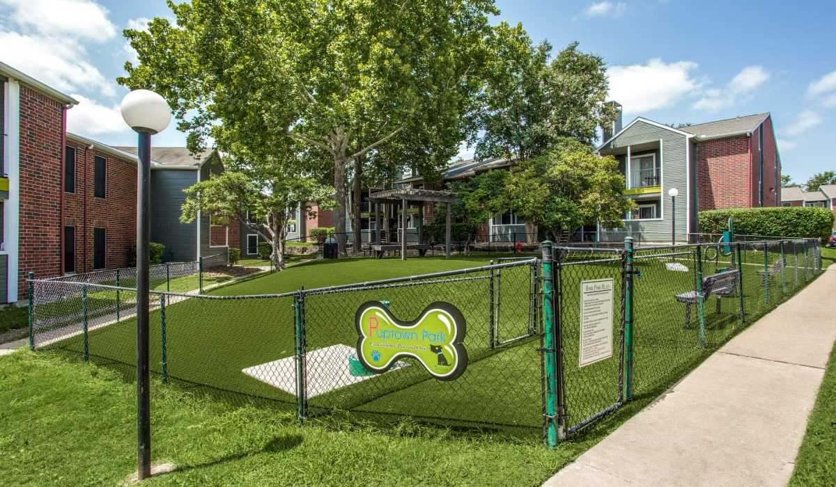 Dog Park at Patten East in Austin, Texas