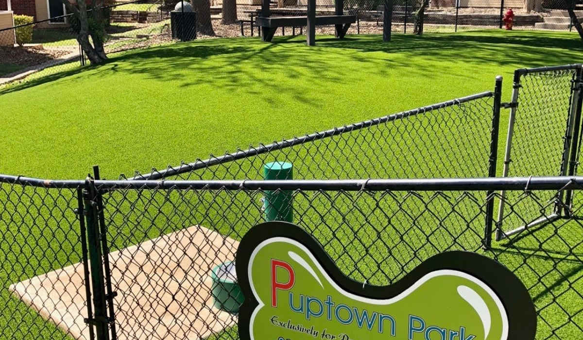 Dog park with free running at Patten East in Austin, Texas