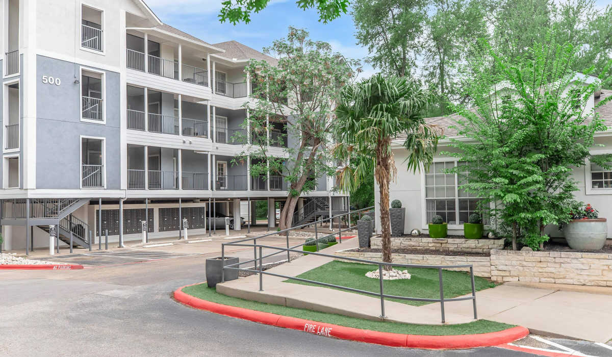 Upgraded palm tree and landscaped area with stones at The Element in Bryan, Texas