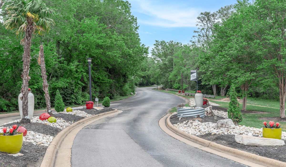 Modern curved road with landscaped flower beds at The Element in Bryan, Texas