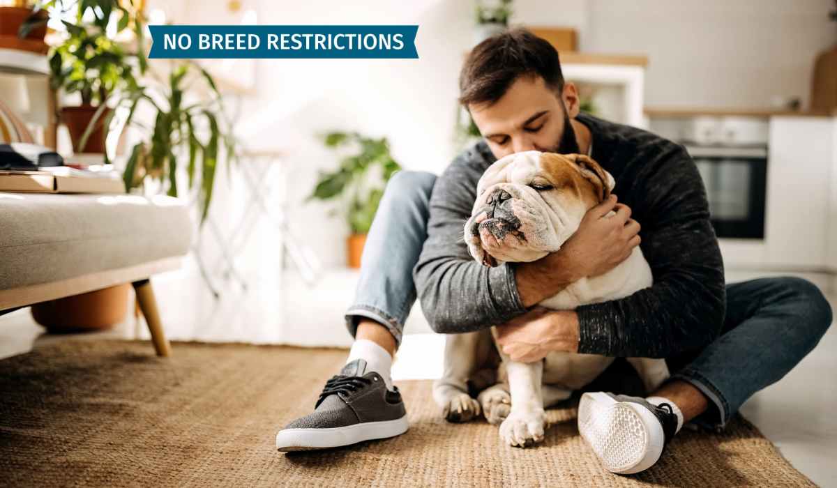 Pet-friendly homes at Keystone at Horse Pen Creek in Greensboro, North Carolina