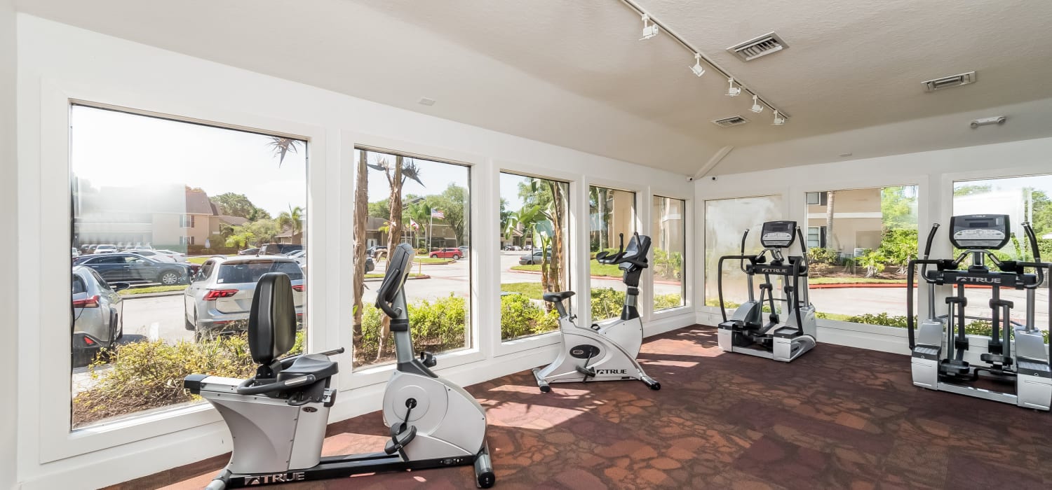 Well-equipped fitness center with tons of natural light at Tuscany Pointe at Tampa Apartment Homes in Tampa, Florida