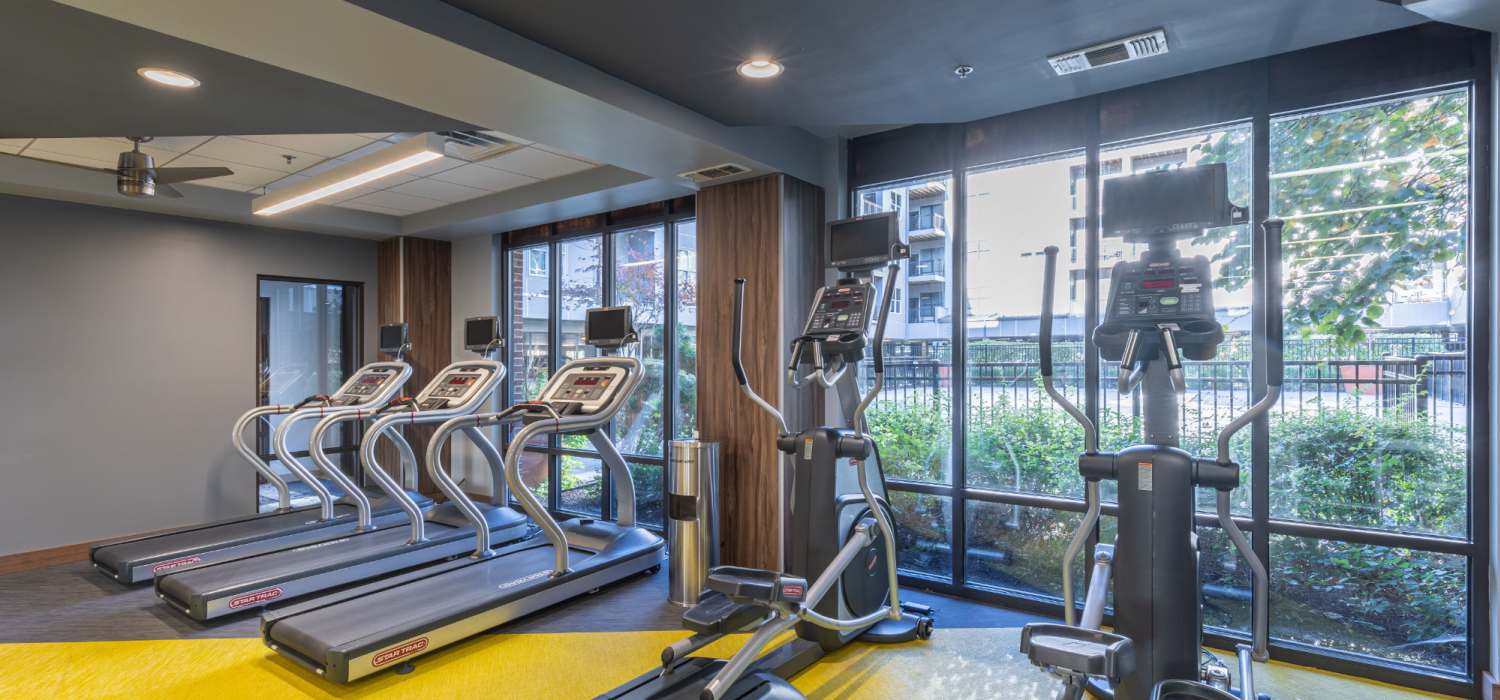 Treadmills in the fitness center at Harlan Flats in Wilmington, Delaware
