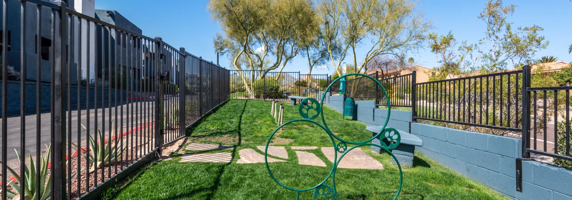 On-site dog park for residents at Luna at Fountain Hills in Fountain Hills, Arizona