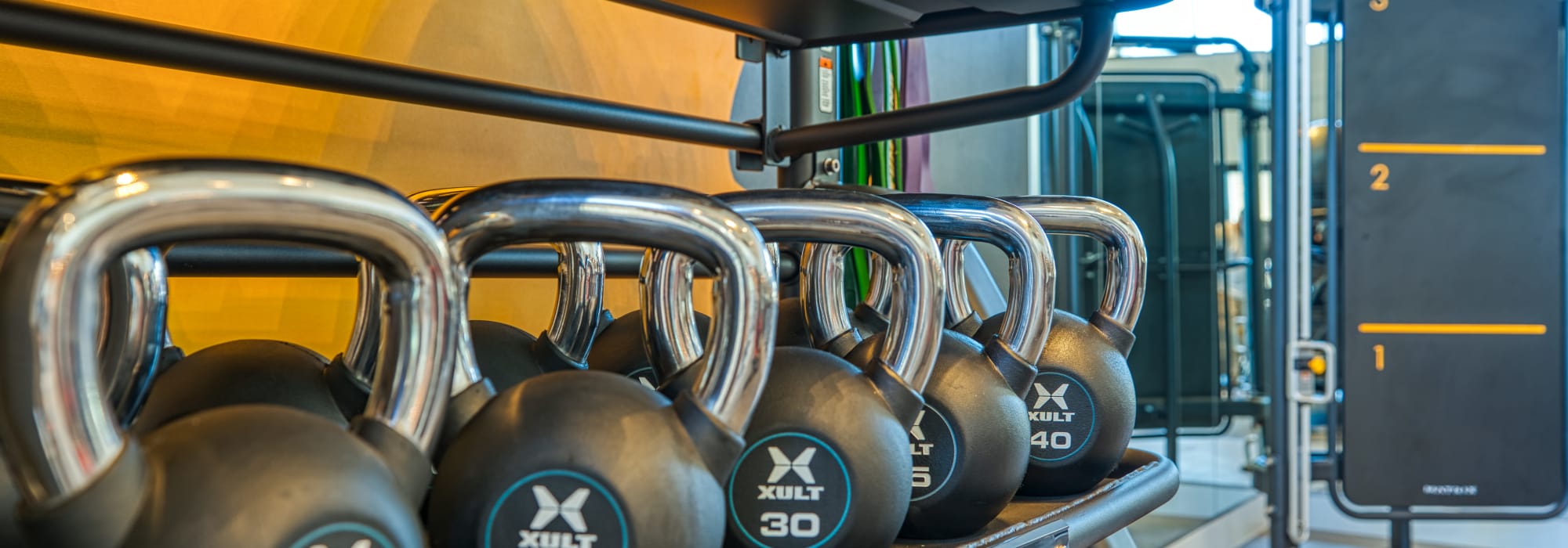 Fitness Center weights at Alexan Tempe in Tempe, Arizona