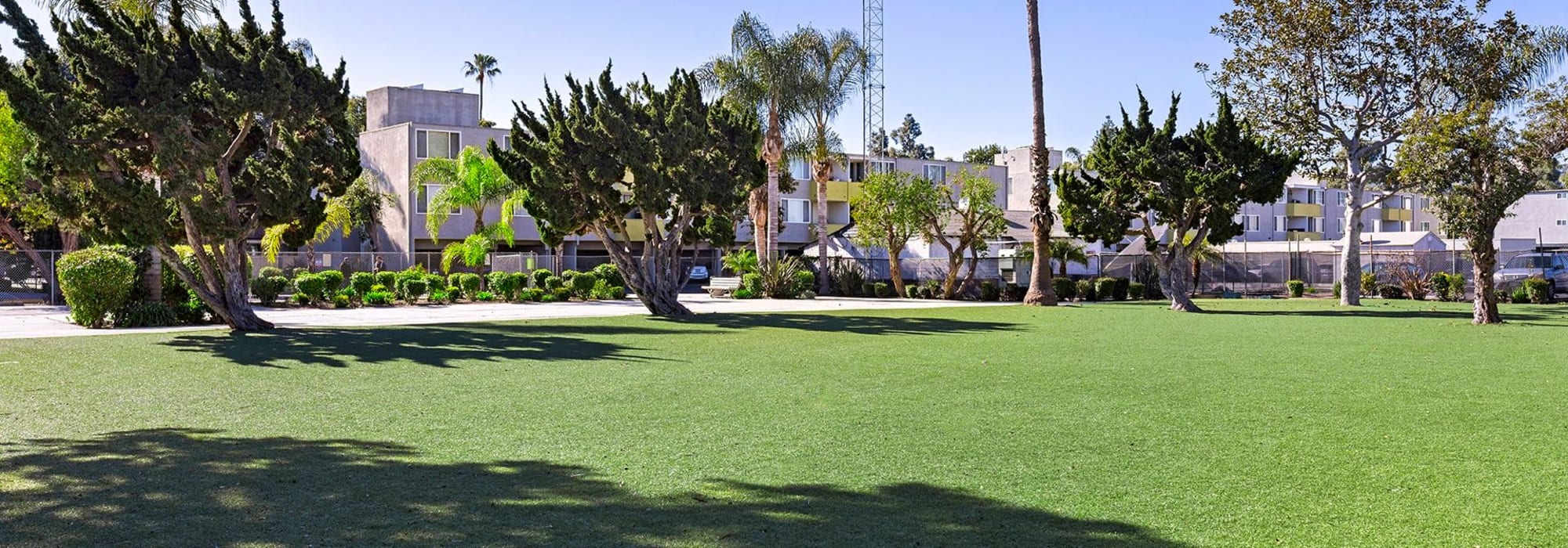 Community area of The Residences at Woodlake in Los Angeles, California