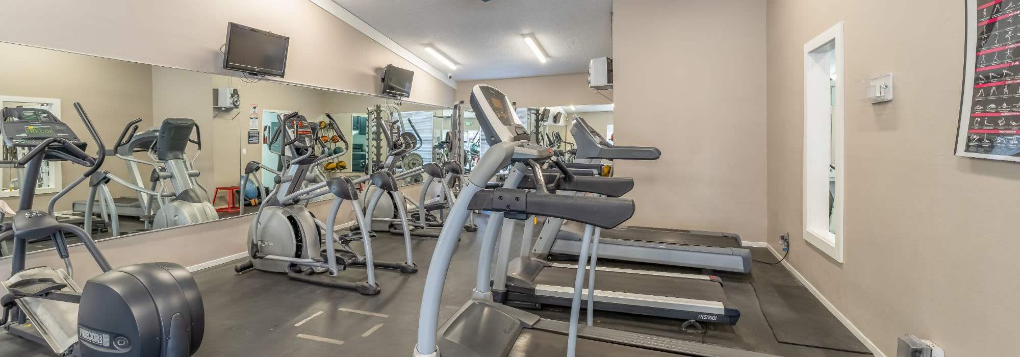 Cardio and weight lifting equipment in the fitness center at Rosewood Park Apartments 