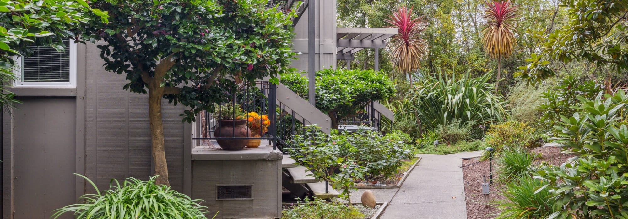 Community areas of Lyford Apartments in Tiburon, California