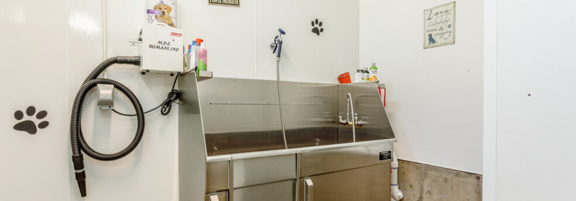 Dog spa at UTE Creek Apartments in Longmont, Colorado