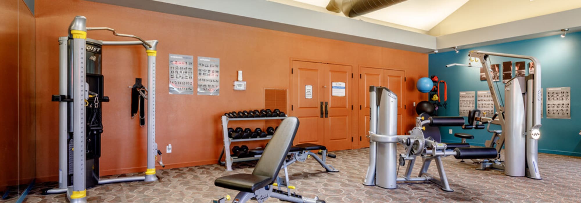 Full equipped community fitness center with weight machines at UTE Creek Apartments in Longmont, Colorado