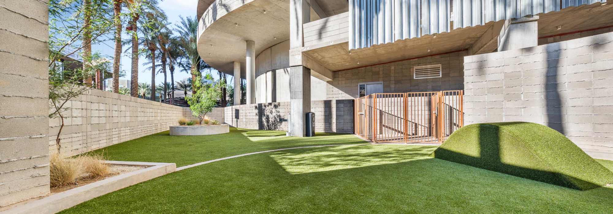 Enclosed dog park with hill at PALMtower in Phoenix, Arizona