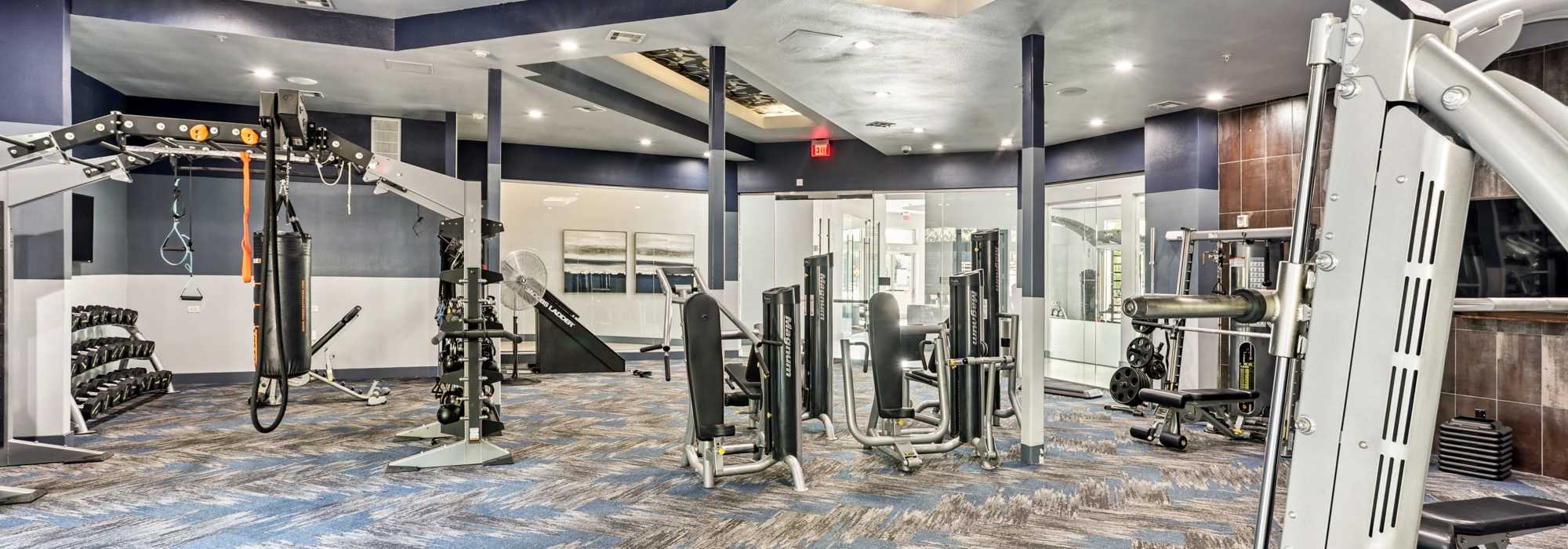 Amenities at Mosaic at Mueller in Austin, Texas