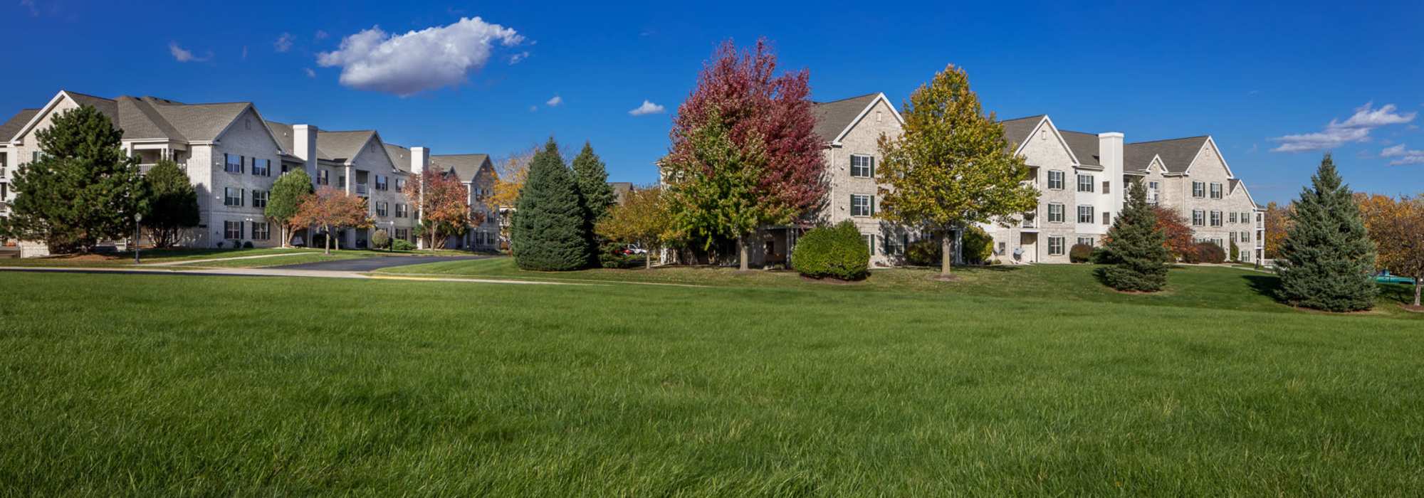 Lush greenery at Deer Creek in Middleton, Wisconsin