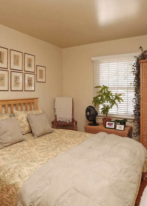 Model bedroom with hardwood flooring and a large window at River Oaks in Pittsburgh, Pennsylvania