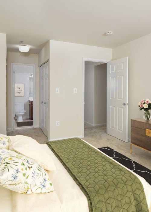 Model bedroom with plush carpeting and a ceiling fan at Yorkshire Apartments in Silver Spring, Maryland