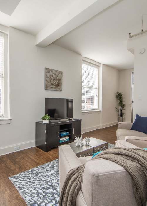 Open layout carpeted living room with plenty of room for a couch and hard-wood style flooring at Grace and Monroe Apartments in Richmond, Virginia