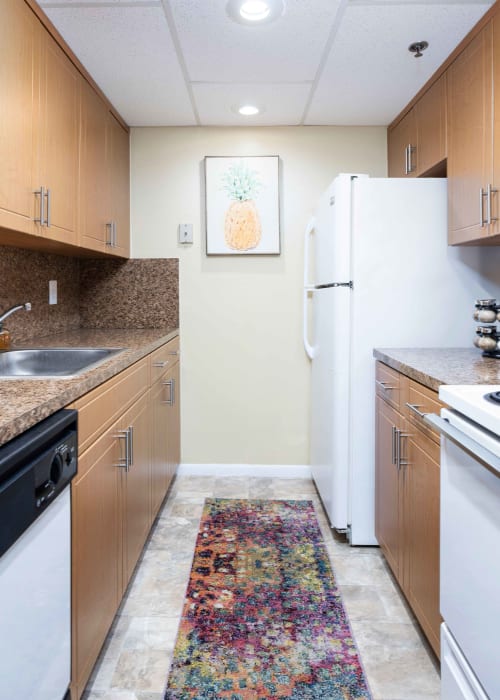 White appliances in an apartment kitchen at Forest Place in North Miami, Florida