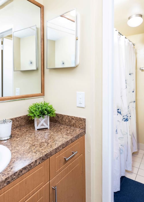 An apartment bathroom at Forest Place in North Miami, Florida