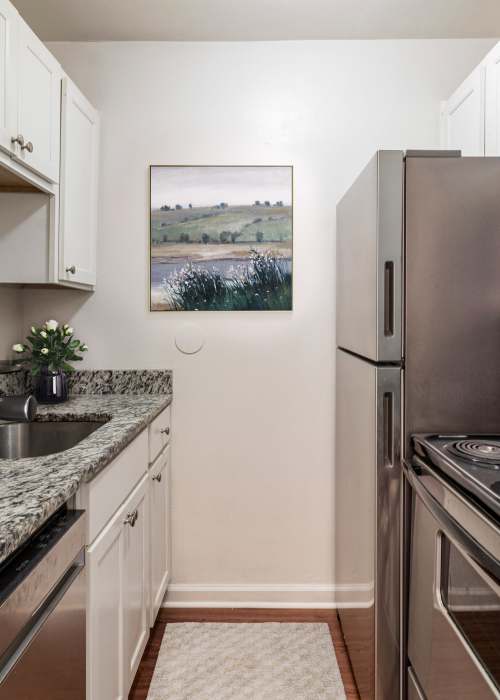 Stainless-steel appliances in an apartment kitchen at The Meadows Apartments in Charlottesville, Virginia