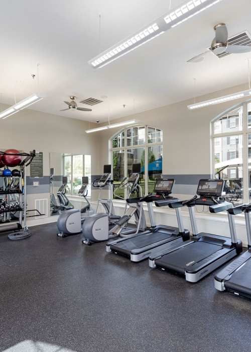 Great Amenities at Lane Parke Apartments in Mountain Brook, Alabama