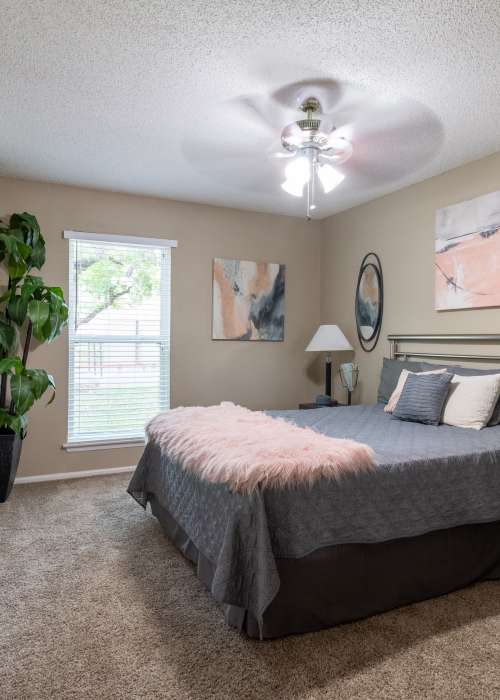 View photo gallery at Meadows in Universal City, Texas at Meadows in Universal City, Texas