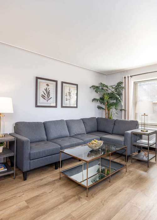 Living room at Rugby Square Apartments in Syracuse, New York