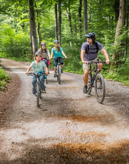 A Man and three children riding bicycle far from downtown surrounded with large trees at The Indie Glendale Collection in Glendale, California