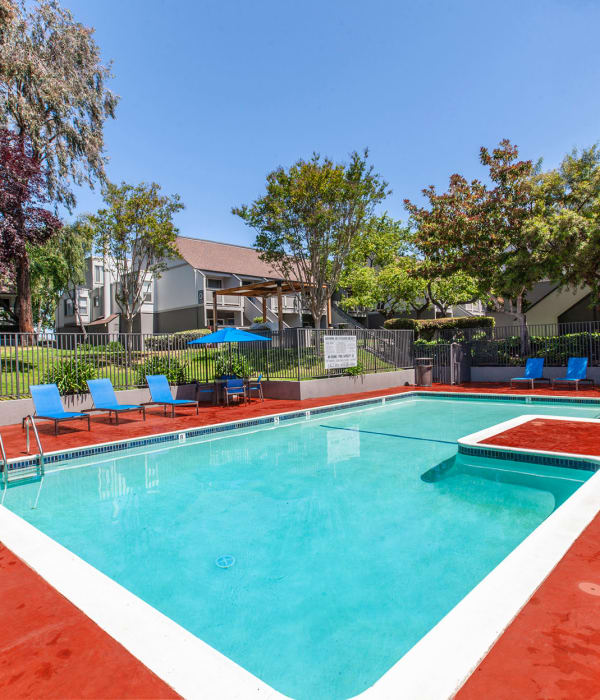 Swimming Pool with lounge chairs and umbrellas at The Timbers Apartments in Hayward