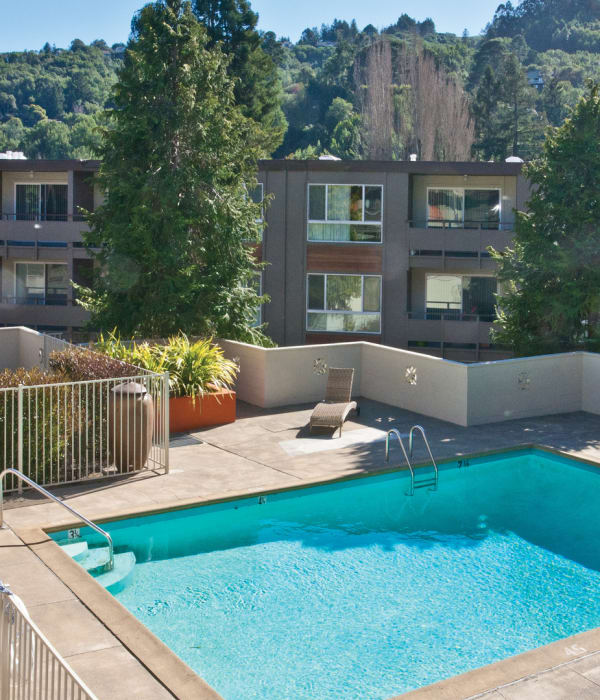 Pool area at Pineridge in Mill Valley, California