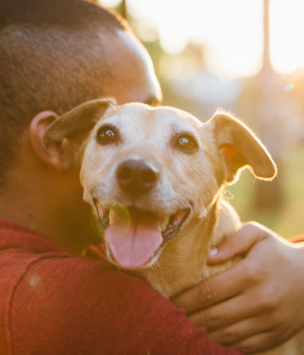 resident pup at Greenpointe Apartment Homes in Santa Clara, California